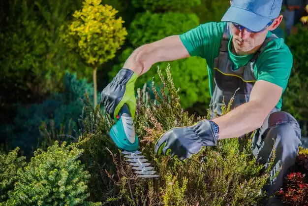 landscaping services Leadington